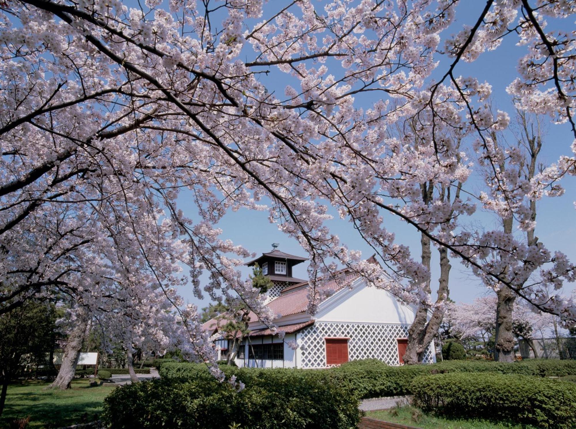Hotel Sunroute Niigata Exterior photo